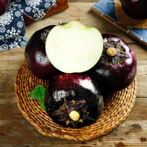 berenjena orgánica Comprar de hortalizas de invierno semillas berenjena jardín perennes resistentes vegetales jardín semillas hortalizas orgánicas, 350semillas