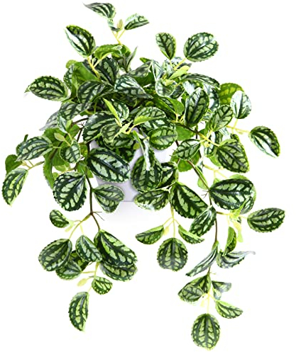 SOGUYI Artificial Plant Decorative Modern Living Room Balcony Bedroom Bathroom Room Table Decoration (Pack of 1)