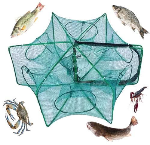 Fischreuse Köder Fisch Reuse Aalreuse, 6 Loch Elritzenfallen für Köderfische Faltbare Köderfalle Fischernetz für Köderfische Handwurfkäfig zum Fangen von Fischen, Garnelen, Krabben, Flusskrebsen
