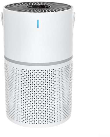 DAZZLEEX Purificatore d'aria portatile con filtro HEPA Carbonio Sistema di Filtrazione a Tre Strati Controllo Smart Touch Screen Tre Impostazioni di Velocità Funzione Timer