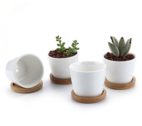 T4U 6.5CM Keramik Sukkulenten Töpfe Kaktus Pflanze Töpfe Mini Blumentöpfe mit untersetzer Runde Weiß 4er Set