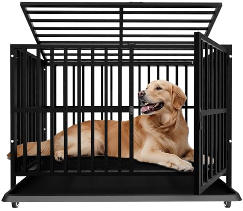 Grande Cage pour Chien, chenil Robuste en Acier allié Non Amovible avec Roues verrouillables, Double Porte et Serrure Robuste (Large)