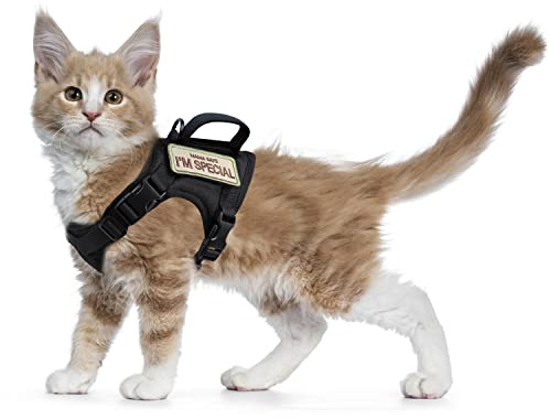 Tactical Cat Harness for Walking Escape Proof, Soft Mesh Adjustable Pet Vest Harness for Large Cat,Small Dog (Medium, Black)
