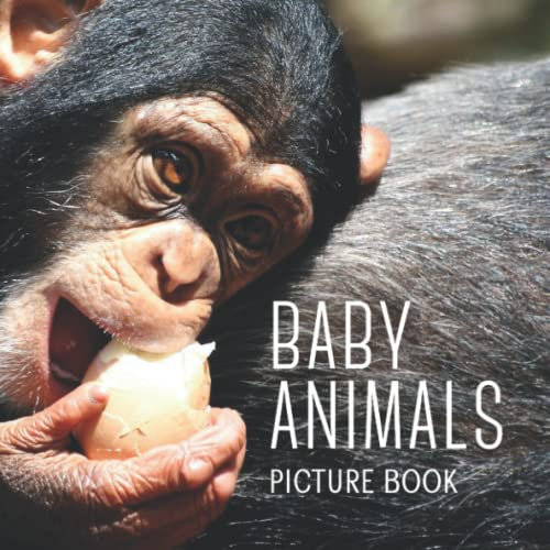 Baby Animals Picture Book: Wordless Book For Adults with Dementia, and Alzheimer's Disease, and Children with Learning Disabilities (Peach Tree Books: Picture Books)
