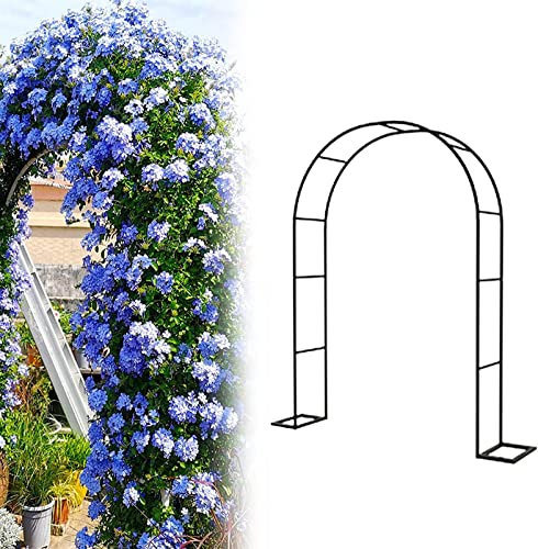 Arche Jardin pour Rosiers Plantes Grimpantes, Metal Arceau à Rosiers, Arche de Rosiers Vigne Mariage, Pergola Tonnelle de Jardin, Intérieur Extérieur Décoration de Fête,300x220x40CM