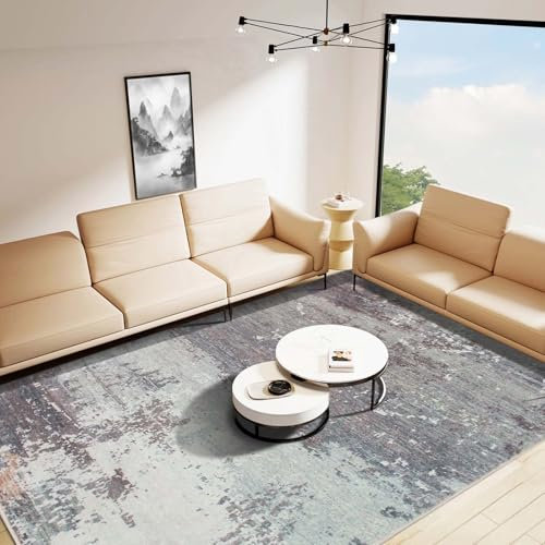 Betadistor Small Rug Abstract Area Rugs for Entryway, Small Non-slip Grey Throw Bedside Rug Bathroom Door Mat, Luxury Low Pile Washable Carpet for Livingroom Laundry Bedroom 60x90cm, Grey, 305-06060