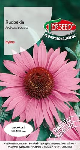Verdica Lila Prärie Coneflower Echinacea purpurpurafrön – stora, livfulla blommor perfekt för att skära trädgårdar och höga sängar, lättskött och trivs i näringsrik jord