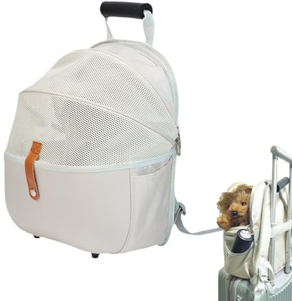 Besreey Hundetransport – Transporttasche für kleine Haustiere, tragbare und faltbare Transporttasche für Kätzchen und Welpen für Spaziergänge, Tierarztbesuche, kurze Reisen,