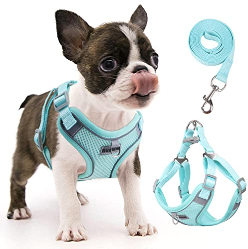 rennaio Hundegeschirr Kein Ziehen, Verstellbares Welpengeschirr mit 2 Leinenclips, Reflektierendes Hundegeschirr und Leine Set für kleine und mittelgroße Hunde (Cyan, S)