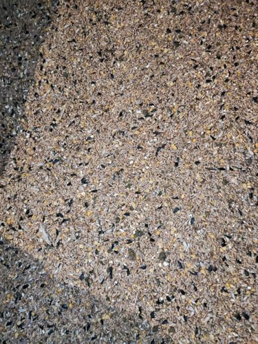 Heinrichs Agrar 50 kg Hühnerfutter-Mix mit Soja aus Rheinhessen Eiweißversorgung ohne Gentechnik