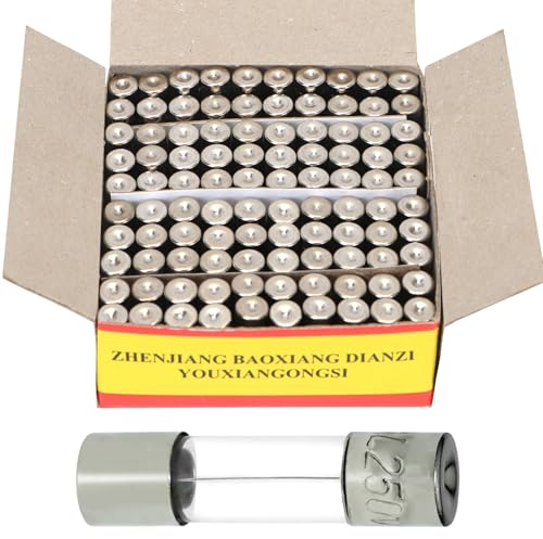 100pcs Sicherung 20 Ampere Glassicherung 250v Feinsicherung sortiment Schmelzsicherung 5x20mm für verschiedene Beleuchtungskörper und elektronische Produkte