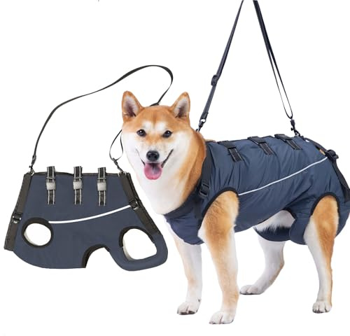 Ziyonix Imbracatura per Cani, Comodo Traspirante Dog Lift Harness, Pettorina Cane Sling di Supporto Regolabile per Cani Anziani con Artrite o Perdita di Stabilità Nella Camminata (XL)