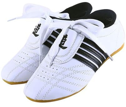 SXTYYH Karaté Chaussures De Taekwondo for Adultes Enfants Kung Fu Chaussures De Tai Chi Légères Souples Chaussures D'arts Martiaux Avec Semelle Antidérapante(43EU)