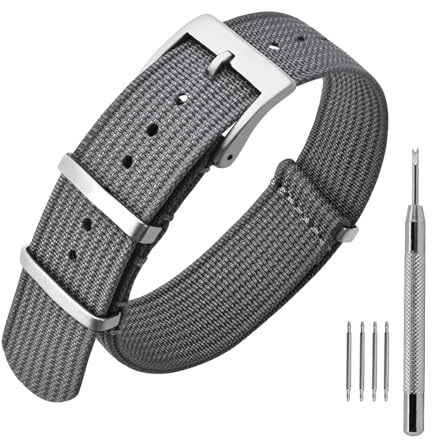 ANNEFIT Nylon Watch Strap 20mm, One-Piece Waterproof Military Watch Band with Heavy Silver Buckle (Grey)
