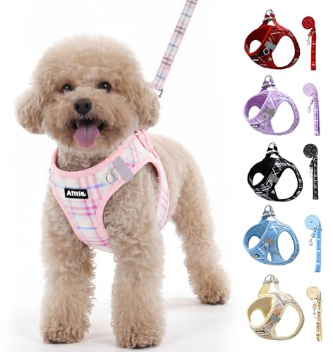 AIITLE No Pull Dog Harness and Leash Set for Small Medium Dogs, Pink M