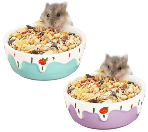 VanEnjoy 2 Pack Hamster Food Bowl Small Ceramic Water Food Bowl for Cage Small Animal Bowls for Hamster Guinea Pig Chinchilla Rabbit - Blue and Purple