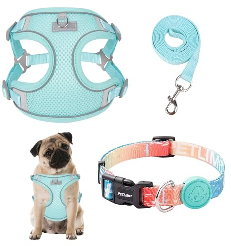 Collars, Harnesses & Leads for Dogs Adjustable Puppy Harness Green Puppy Collar and Lead Sets Dog Harnesses Small Dog Small Dog Harness and Lead Set for Extra-Small/Small Medium Dogs (S)