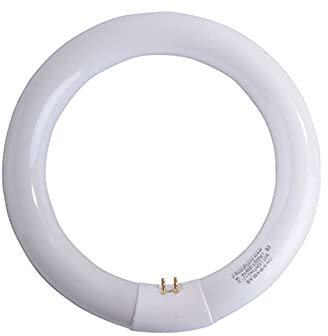 LAMP.FLU.CIRCOL.22W 6500K G10Q