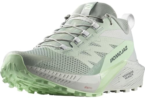 SALOMON Sense Ride, Zapatillas de Trail Running Hombre, Sense Ride 5 Lily Pad/Metal/Green Ash, 36 EU