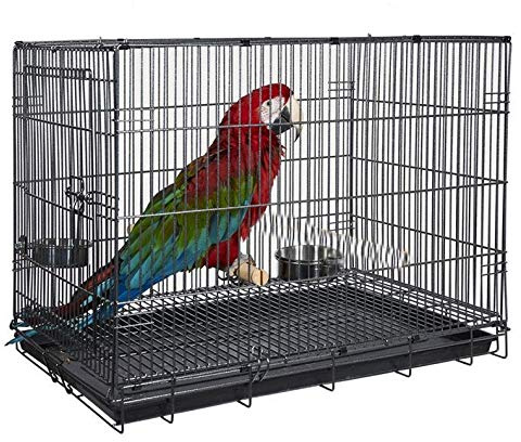 Large Durable Metal Travel or Veterinary Easy Collapsable Parrot Bird Carrier Beaks Proof Carrier Cage Easy Clean Pull Out Tray Stainless Steel Feeder Bowls Natural Wooden Perch