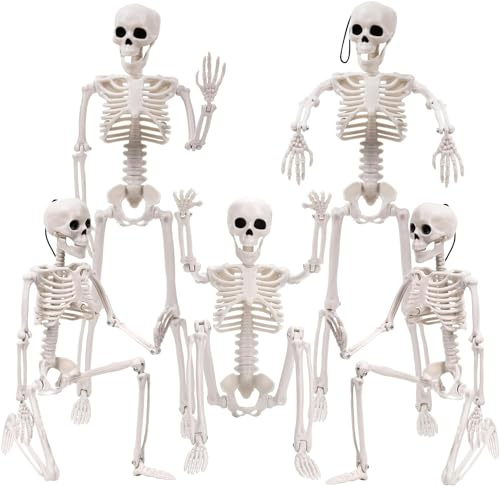 Halloween Deko Skelett Outdoor Innen Dekoration Gruselig Party Horror Set Decoration Decor Türdeko Halloweendeko Scary Gartendeko Figur Außen Schädel Knochen Gruselig Klein Bewegliche Ganzkörper（5pcs）