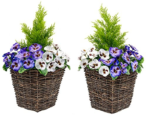 2 x Artificial Rattan Patio Planters Purple and White Faux Silk Pansies with Conifer/Cedar Topiary ideal for Home, Patio, Garden Outdoor Living 60cm/23.5in