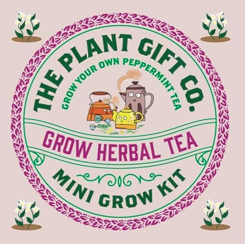 Herbal Tea Grow Kit. Grow Your Own Peppermint Plants