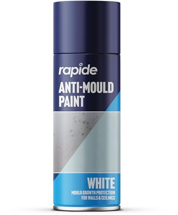 Rapide Anti Mould Spray Paint, 400 ml