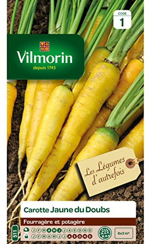 Vilmorin - Sachet graines Carotte Jaune Obtuse du Doubs