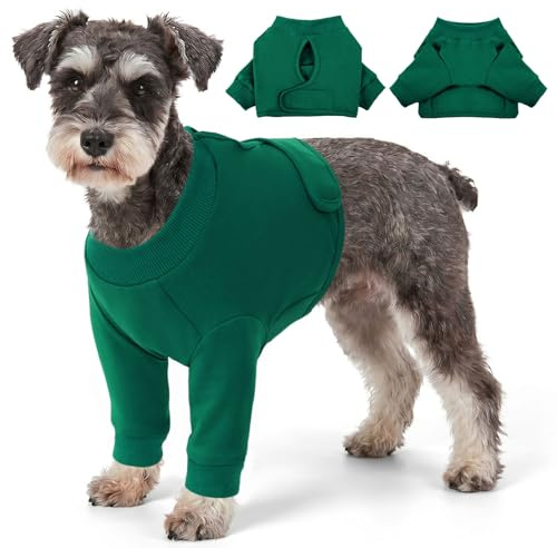 CITÉTOILE hundbody efter oper, sårskyddsdräkter för hundar med ben, främre benskydd för skada hund, anti-sårläckage Op Body hundar, E-krage alternativ, grön, XS