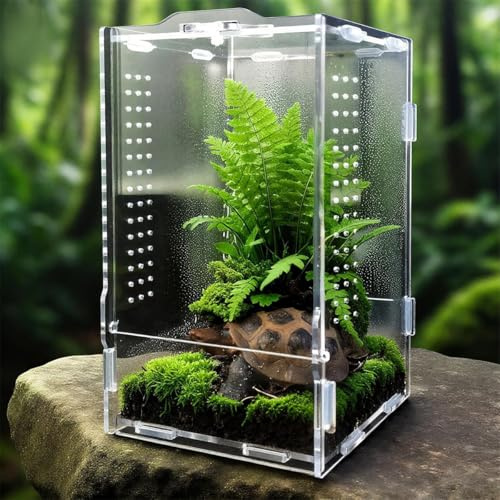Faunarium, Insektenterrarium, Acryl-Terrarium, Allzweckbehälter für Reptilien, Amphibien, Sprungspinnen, Vogelspinnen, Schnecken, Frösche und Insekten, 20 x 12 x 11 cm
