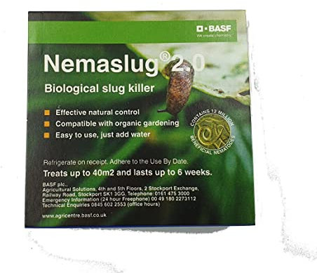 Slug Nematodes 12million (Treats 40sq.m)