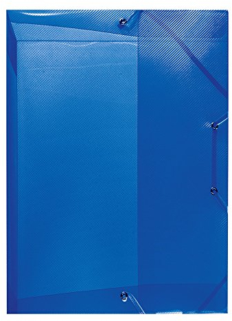 Herlitz 1948686 Heftbox A4, Rückenbreite 4 cm, PP, transluzent blau