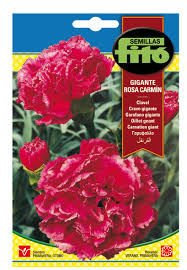 Semillas Fitó Clavel Gigante Rosa Carmín