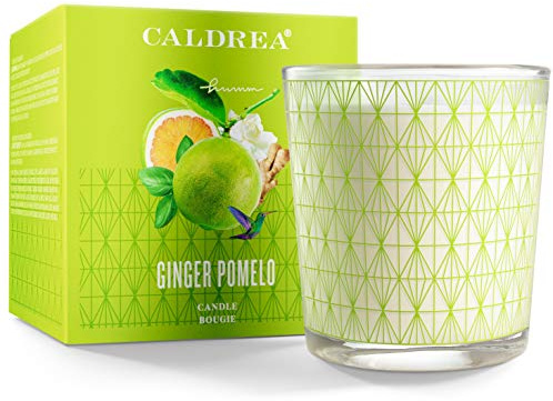 Caldrea Scented Candle, Made with Essential Oils and Other Thoughtfully Chosen Ingredients, 45 Hour Burn Time, Ginger Pomelo Scent, 8.1 oz