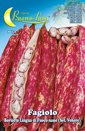 SEMI ORTO FAGIOLI NANI BORLOTTI