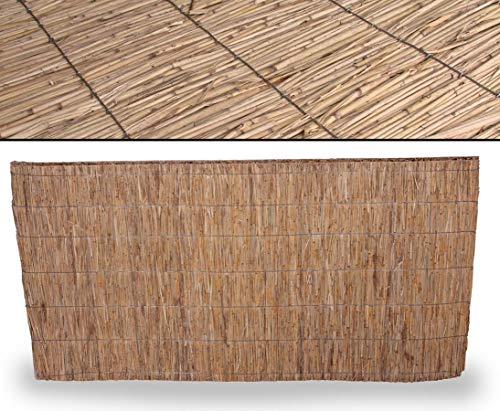 bambus-discount.com Schilfrohrplatte Usedom 100 x 200cm mit 2,5cm Materialstärke - Dicke starre Schilfplatte als Dämmmaterial oder Sichtschutz 1m x 2m