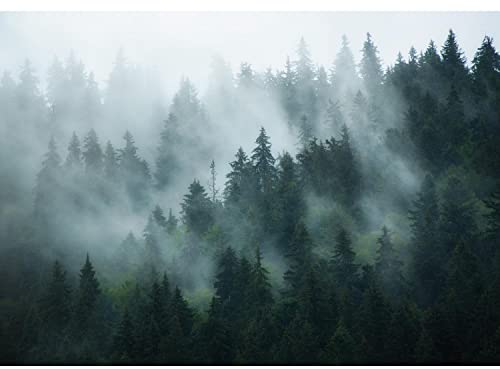 Runa Art Fototapete Wald Nebel 352 x 250 cm Vlies Tapeten XXL Moderne Wandtapete Wohnzimmer Schlafzimmer Grün 9552011a