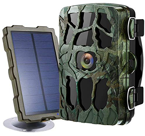 Braveking1 Fotocamera Caccia 4K HD 20MP 1080P 40pcs Infrarossi LED Visione Notturna 98ft/30M 0.2s Attivazione Movimento IP66 Impermeabile Fototrappola da Caccia con Pannello Solare e 32G Scheda