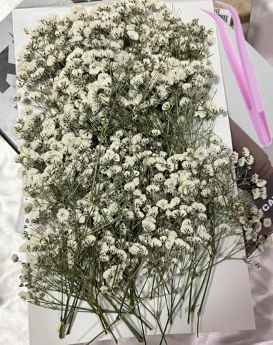 100PCS Dried Pressed Baby's Breath Flowers with Tweezer, Real Natural Dried Mini White Gypsophila Flowers for Resin Making Wedding Card Art Craft DIY Home Party Decor