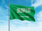 Oedim Flagge Saudi-Arabien | 150 x 85 cm | verstärkt und vernäht | Flagge mit 2 Ösen aus Metall und Wasserdicht