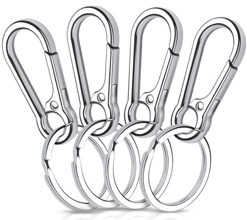 Caianwin 4 Stück Karabiner Schlüsselanhänger Metall Karabinerhaken Klein Schlüsselkarabiner für Schlüssel, Rucksäcke und Charms