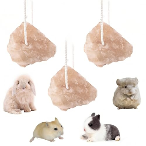 BCHMN 3 blocchi di sale con spago attaccato, ricchi di minerali, adatti ad animali domestici come conigli, porcellini d'India e scoiattoli, favoriscono la salute dentale e l'attività