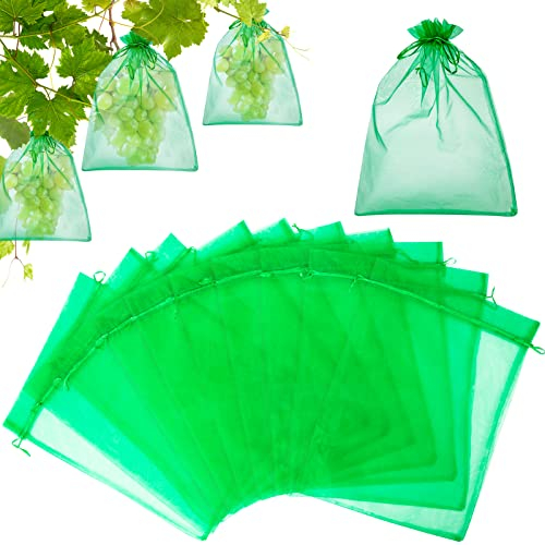 Hywean Hsafe Sac de Protection de Raisins 50 Pièces 30x40CM Sac de Protection de Grappes avec Cordon, Sachets de Protection pour Plantes Fruits Contre Les Oiseaux et Insectes Guêpes Frelons (Vert)