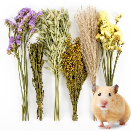 Sukh Decorazione Habitat Fiore