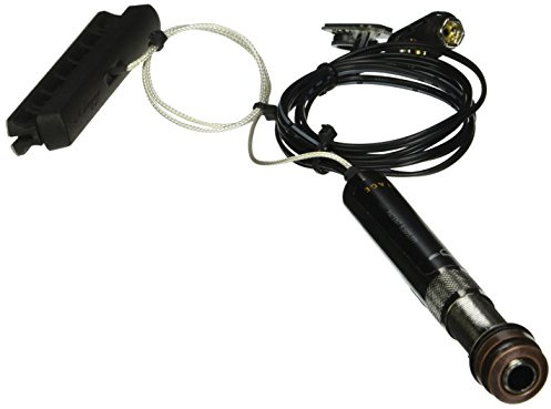 LR Baggs iBeam Active Pickup System for Western Guitar