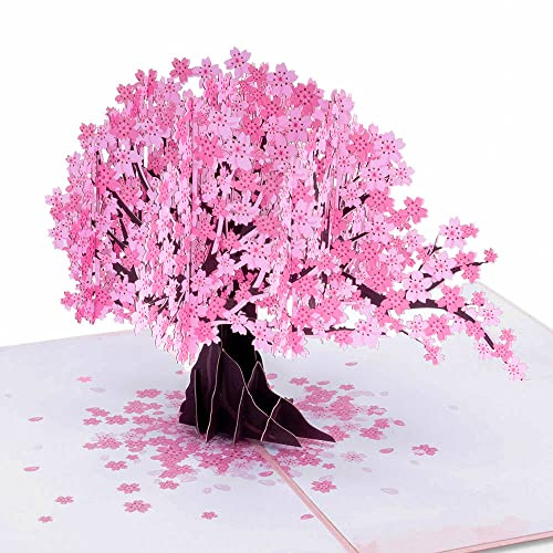 Paper Love 3D Cherry Blossom Pop Up Card, Gift for Birthday, Wedding, Anniversary, Thank You, Get Well, Valentines Day, Mothers Day & All Occasions, 5 x 7 Includes Envelope and Note Tag