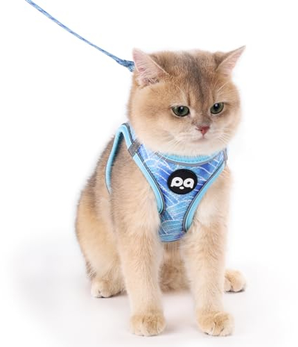 QQPETS Katzengeschirr und Leine, Set für Spaziergänge, ausbruchsicher, verstellbar, Kätzchenweste mit reflektierenden Streifen, einfache Kontrolle, weiches Netz, leichte Jacke (gestreift, blau, Größe