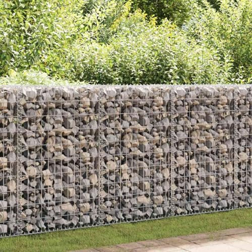 HOMTAKIE Panier de gabion Acier galvanisé 200x30x100 cm