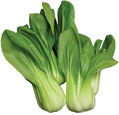 Burpee Baby Choi Organic Cabbage Seeds 200 seeds